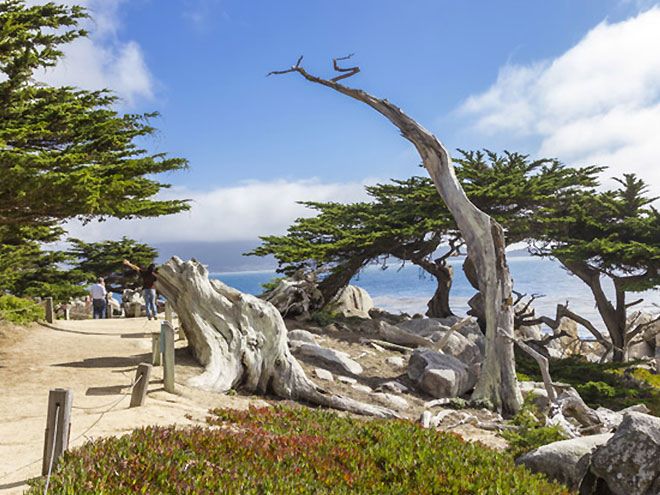 Go Local at California