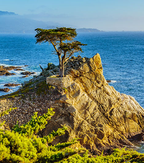 17-Mile Drive In California