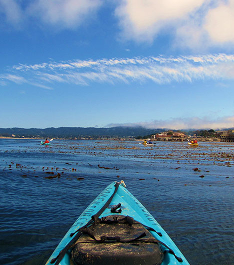 Adventures by the Sea In California