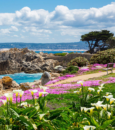 Monterey Bay Coastal Recreational Trail In California