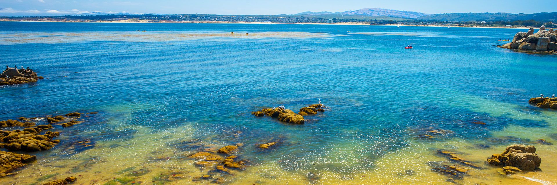 Travel Updates In Wave Street Inn Monterey California
