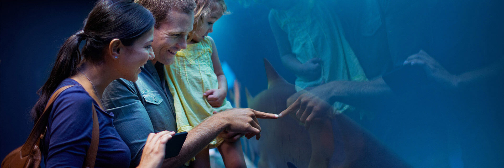 Under The Sea Package At Wave Street Inn Monterey California