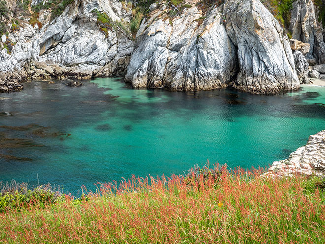 Go Local In California